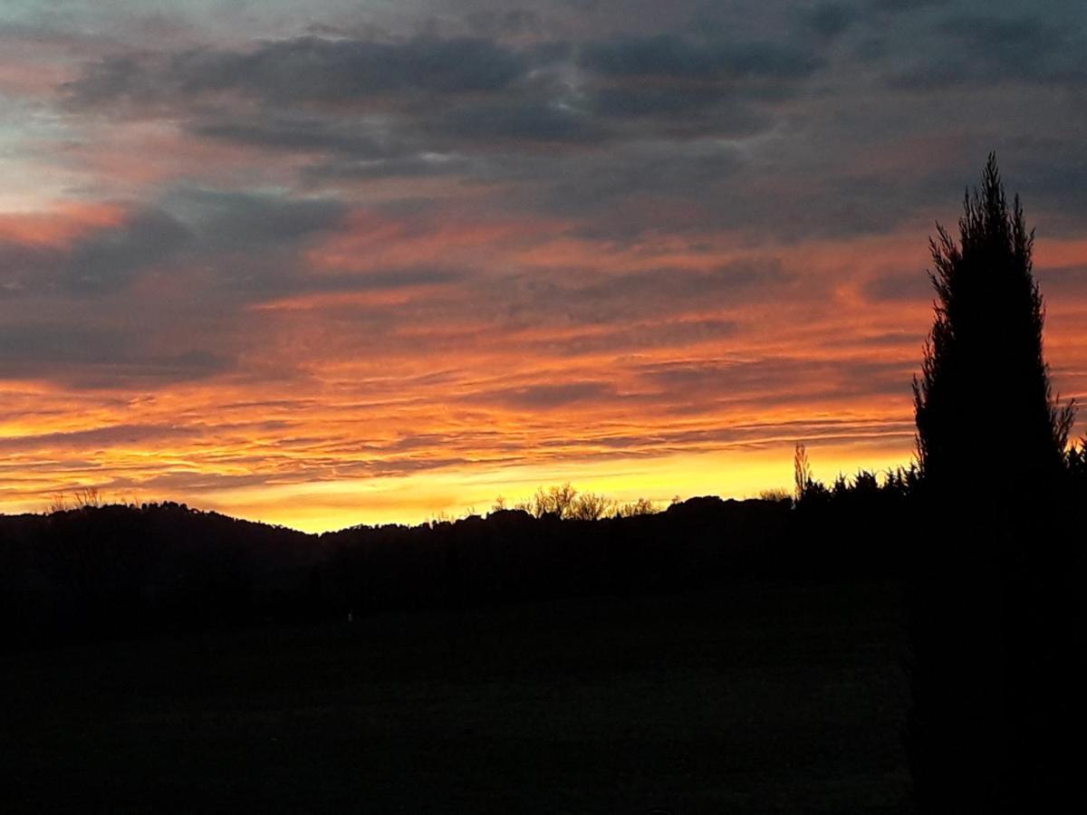 Roussillon en Isere Le Mas De La Glycine المظهر الخارجي الصورة