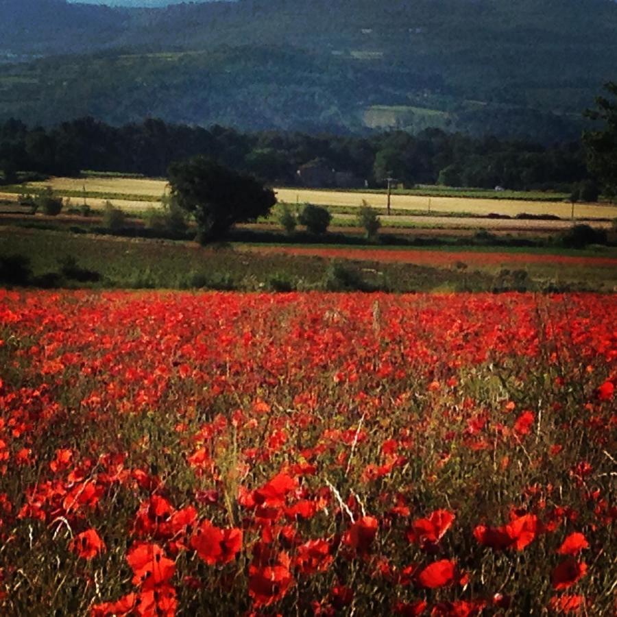 Roussillon en Isere Le Mas De La Glycine المظهر الخارجي الصورة